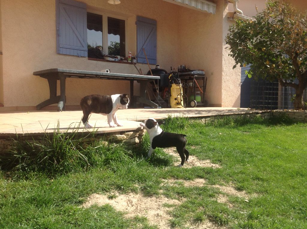 Of Stella Majoris - Premiere sortie dans le jardin
